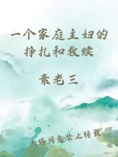 一个家庭主妇的挣扎和救赎